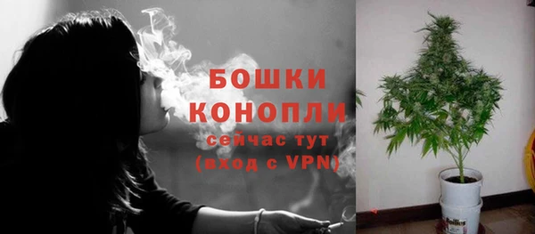 бутират Арсеньев