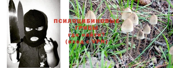 бутират Арсеньев