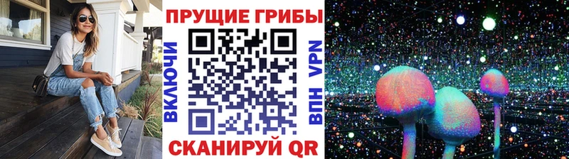 Псилоцибиновые грибы MAGIC MUSHROOMS  Дыгулыбгей 